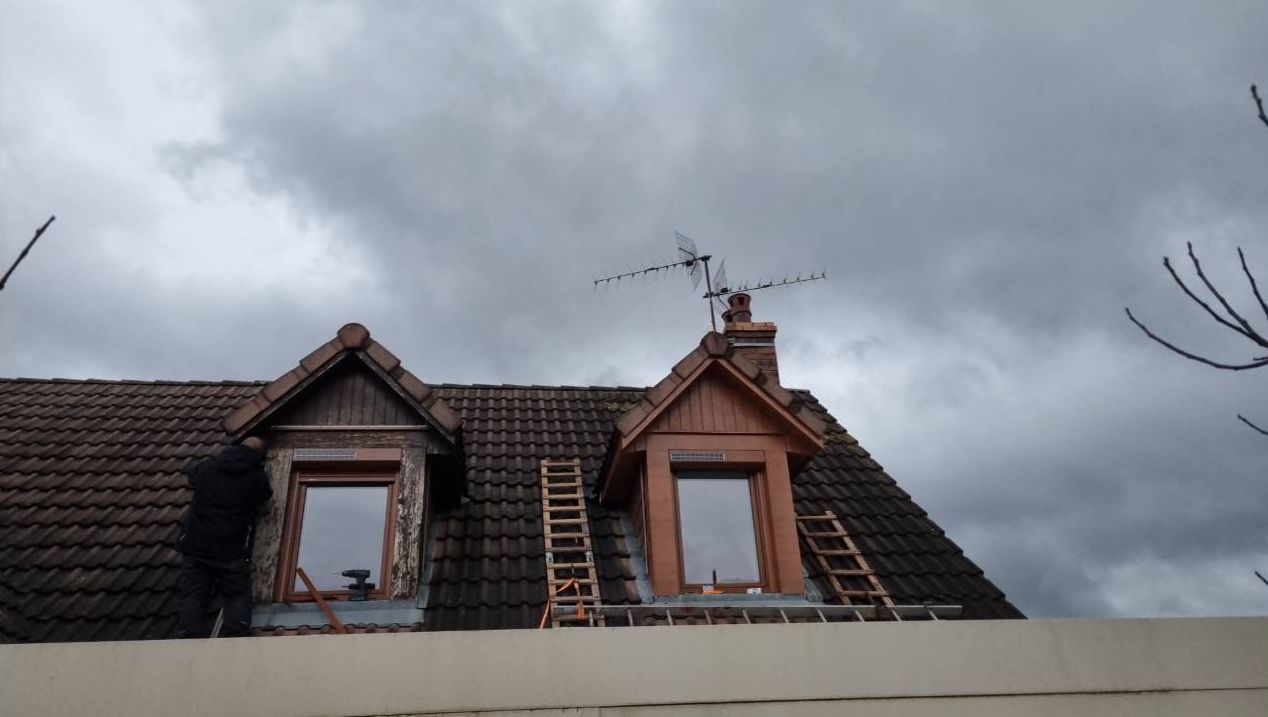 Renovation chien assis beaune 21200